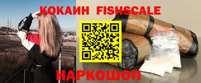 таблы Новозыбков
