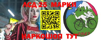 МДПВ Новодвинск