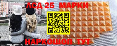 МДПВ Новодвинск