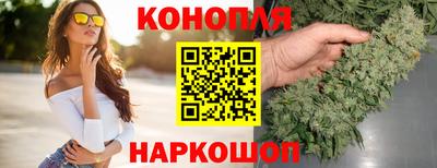 таблы Новозыбков