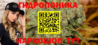 шишки Новокубанск