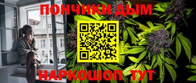 шишки Новокубанск