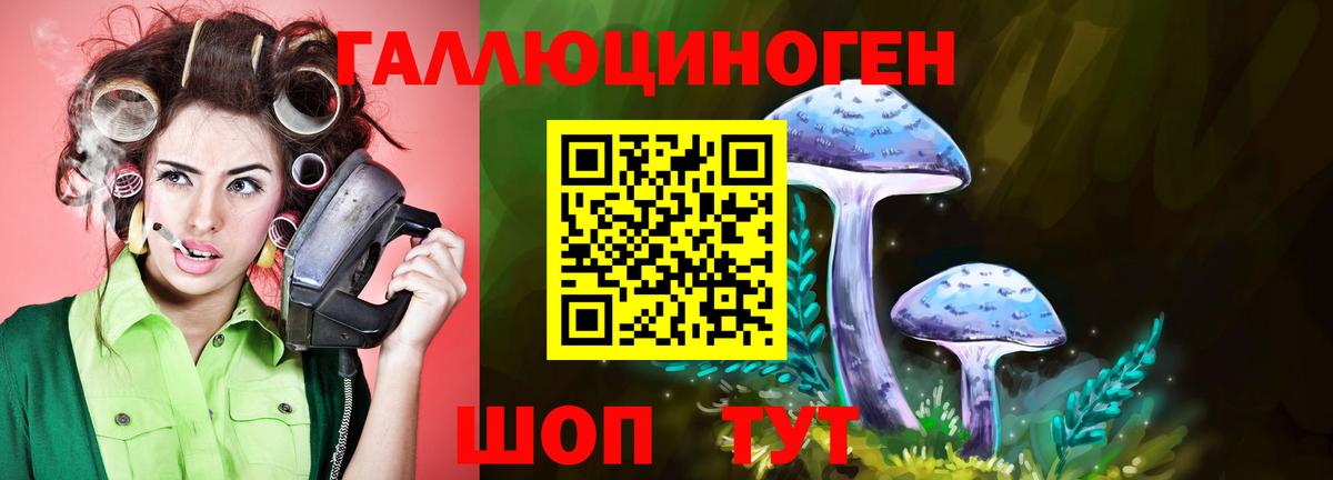 Галлюциногенные грибы Cubensis Трёхгорный